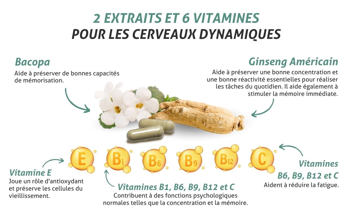 Phyto Cérébril® - Blanche Bresson - ingrédients